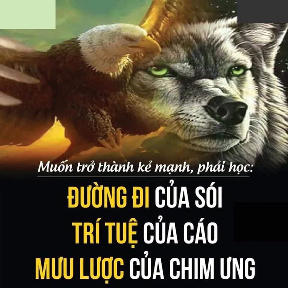 hành trình tu học 3